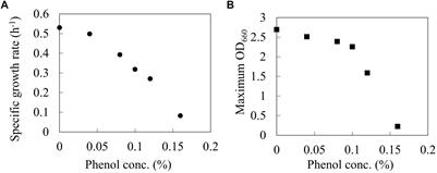 13C-Metabolic Flux Analysis Reveals Effect of Phenol on Central Carbon Metabolism in Escherichia coli